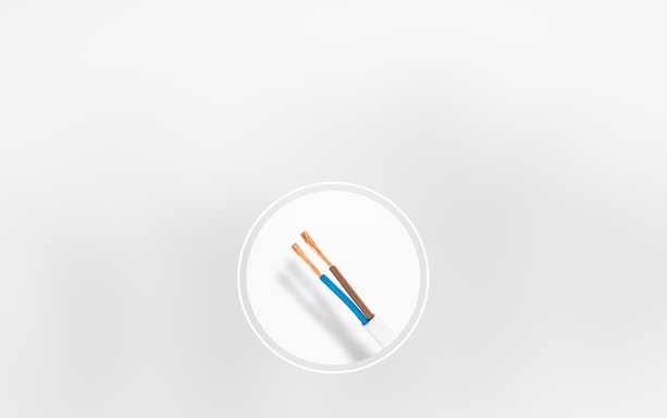 兩線式網路影視對講機